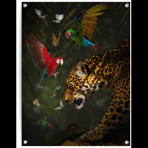 Tuinposter Jungledieren - 80 x 60 - Canvas - REINDERS