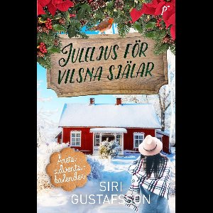 Tidersrumserien 1 - Juleljus för vilsna själar