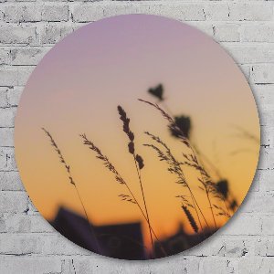 Golden hour - 40 cm Forex Muurcirkel - Landschappen - Wanddecoratie - Rond Schilderij - Wandcirkel