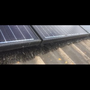 vogelweringborstel - dakgootegel - dakgootborstel - 4 mtr x 15 cm