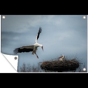 Muurdecoratie Prachtige foto van een ooievaar die in zijn nest land - 180x120 cm - Tuinposter - Tuindoek - Buitenposter