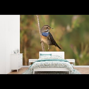 Behang - Fotobehang Blauwborst is op jacht naar voedsel - Breedte 415 cm x hoogte 300 cm