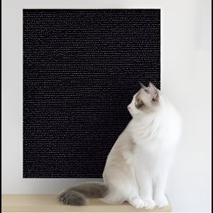 katten krabmat - Bescherming van meubels - Voor banken en stoelen - Krabbescherming 40x100cm Zwart