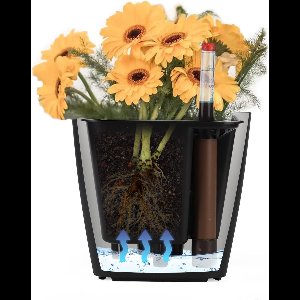 Candala zelfbewaterende pot waterniveau-indicatoren – kruidenpot zelfbewaterend bloempot bloempot luie zwart – duurzaam