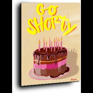 Go shorty - Meerdere kleuren - Plexiglas 80 x 120 c