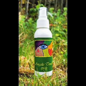 Angelic Touch Spray - Magical Aura Chakra Spray - In the Light of the Goddess by Lieveke Volcke - 100 ml