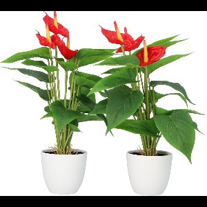 Kopu® 2 stuks Anthurium Kunstplant 40 cm - 3 bloemen - Flamingoplant
