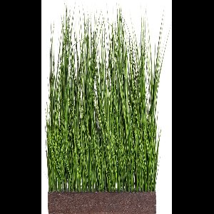 Kopu® Kunstplant Roomdivider 125 cm - in bak - Nepgras