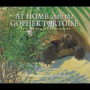 The Story of a Keystone Species 1 - At Home with the Gopher Tortoise