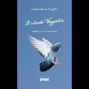 Il colombo viaggiatore