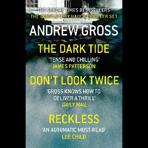 Andrew Gross 3-Book Thriller Collection 1
