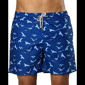 Zwembroek Heren Sanwin - Blauw Venice Seagulls Print - Maat XXL