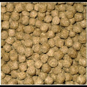 Budget Wheat Germ Drijvend Koivoer - 5 Liter (6 mm)