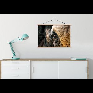 Posterhanger incl. Poster 90x60 cm - Schoolplaat - Olifant - Close up - Dieren - Natuur - Textielposter - Blanke latten