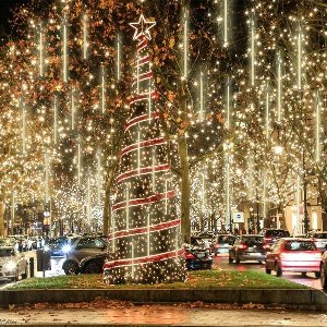 Lichtsnoer voor buiten - 15 buizen van 30 cm - 540 leds - kerstverlichting - meteorenregen - voor kerstdecoratie - Halloween - bruiloftsfeest - warm wit