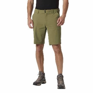 Helly Hansen Brono Korte Broek Groen 2XL Man