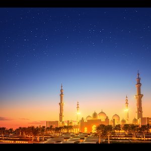 Grote Sjeik Zayed Moskee in de schemering van Abu Dhabi - Fotobehang (in banen) - 250 x 260 cm