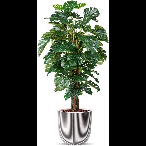 Kunstplant Monstera in planter ball Groove ivoor H170 cm