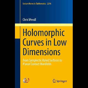 Lecture Notes in Mathematics 2216 - Holomorphic Curves in Low Dimensions