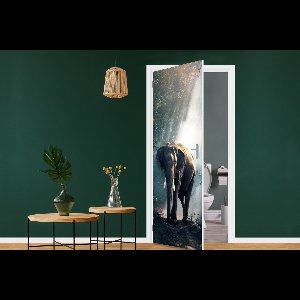 Deursticker Olifant - Dieren - Licht - Bos - Natuur - Wilde dieren - 75x205 cm - Deurposter