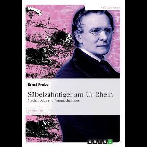 Säbelzahntiger Am Ur-Rhein