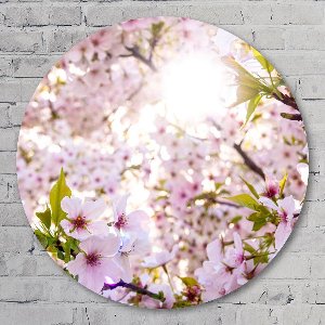 Muurcirkel ⌀ 80 cm - Japanse bloesem - Kunststof Forex - Landschappen - Rond Schilderij - Wandcirkel - Wanddecoratie