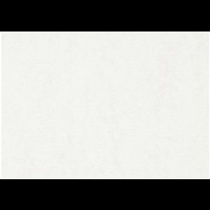 Aquarelpapier - Waterverfpapier - Brushlettering Papier - Watercolor Papier - Lichte Structuur - Wit - A4 - 21x29,7cm - 300 grams - 100 Vellen