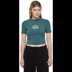 Dickies Globe T-shirt Met Korte Mouwen Groen XS Vrouw