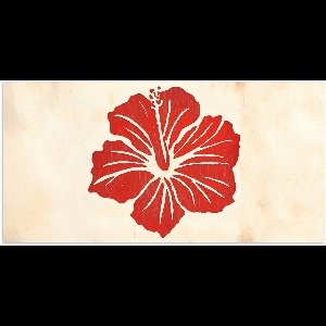 Poster 150x75 cm - Rode hibiscusbloem - Textuur achtergrond - Beige - Posters - Kamer decoratie - Wanddecoratie woonkamer - Muurdecoratie slaapkamer