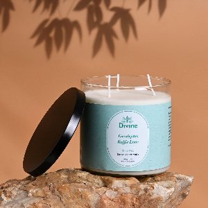 Eucalyptus & Kaffir Lime Triple Wick Glass