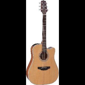Takamine GD20CE NS2 - Akoestische gitaar