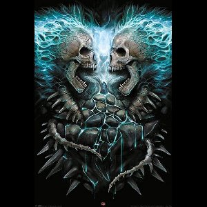 Spiral Flaming Spine - Maxi Poster