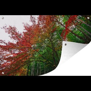 Tuindecoratie Vele kleuren in het Bamboebos van Arashiyama Japan - 60x40 cm - Tuinposter - Tuindoek - Buitenposter