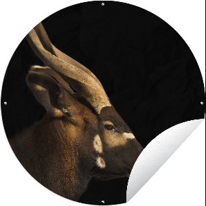 Tuincirkel Bongo antilope op zwarte achtergrond - 150x150 cm - Ronde Tuinposter - Buiten