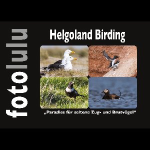 Helgoland Birding