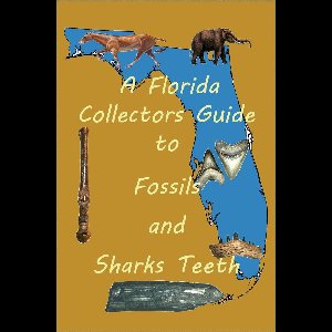 A Florida Collectors Guide to Fossils and Shark Teeth