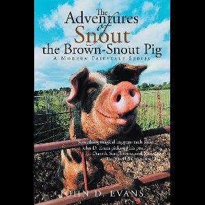 The Adventures of Snout the Brown-Snout Pig
