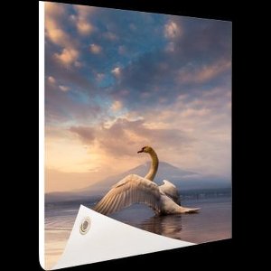 Muurdecoratie Zwaan - Wolken - Water - 120x180 cm - Tuinposter - Tuindoek - Buitenposter