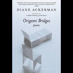 Origami Bridges