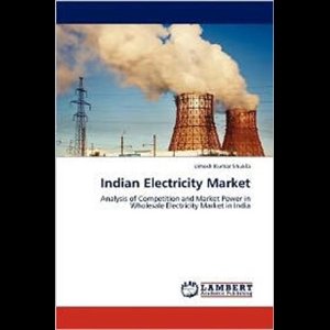 Indian Electricity Market