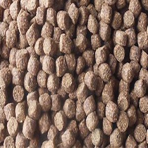 Malamix Food - Vissenvoer - Koi voer - 10kg - visvoer - visvoer - vijvervoer - kleurvoer - korrels - voer - drijvend - koikarper - goudvis - all roud mix -muti Color