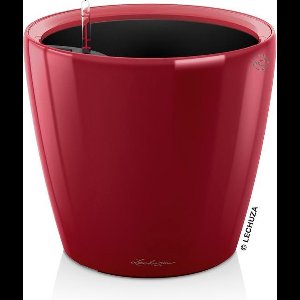 LECHUZA CLASSICO PREMIUM LS 50 - Plantenbak - met uitneembare binnenbak - met bewateringssysteem - ALL-IN-ONE set met LECHUZA-PON - scharlakenrood hoogglans