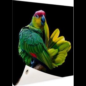 Tuindoek Papegaai afdruk - 100x100 cm