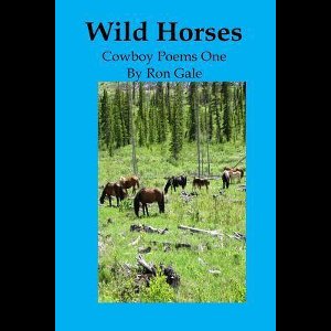 Wild Horses