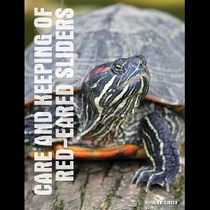 Your Red-Eared Slider