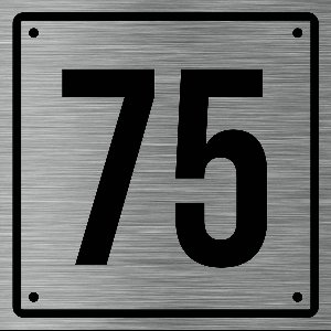 Huisnummerbord 75 - Incl. Schroeven en Pluggen – Acrylaat - 10 x 10 cm - RVS met Zwart