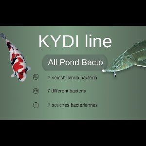 KYDI Line All Pond Bacto 200 gram
