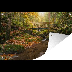 Muurdecoratie Het Zwarte Woud in Duitsland tijdens de herfst - 180x120 cm - Tuinposter - Tuindoek - Buitenposter