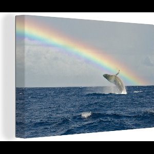 Canvas schilderij 180x120 cm - Wanddecoratie Een bultrug springt het water uit onder een regenboog - Muurdecoratie woonkamer - Slaapkamer decoratie - Kamer accessoires - Schilderijen