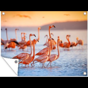 Muurdecoratie buiten Flamingo - Dieren - Water - Roze - 160x120 cm - Tuindoek - Buitenposter